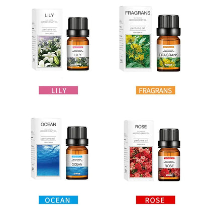 Essential Oils Assorted Scents - Liss & Lex