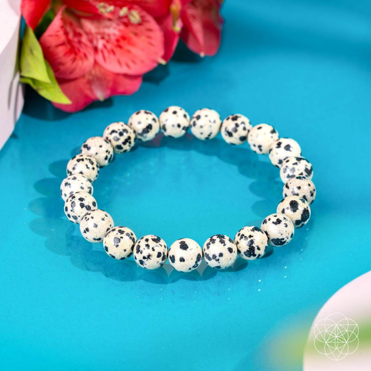 Emotional Detox - Dalmatian Jasper Bracelet - Liss & Lex