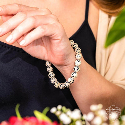Emotional Detox - Dalmatian Jasper Bracelet - Liss & Lex