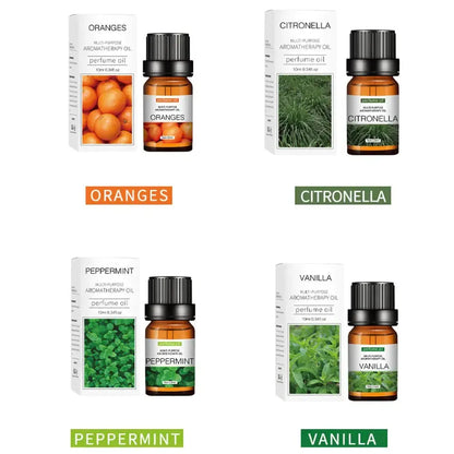 Essential Oils Assorted Scents - Liss & Lex