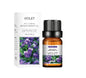 Essential Oils Assorted Scents - Liss & Lex